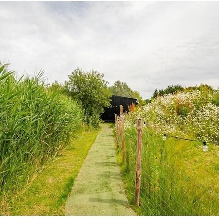 Reeds Retreat Vila Ashford  Exterior foto