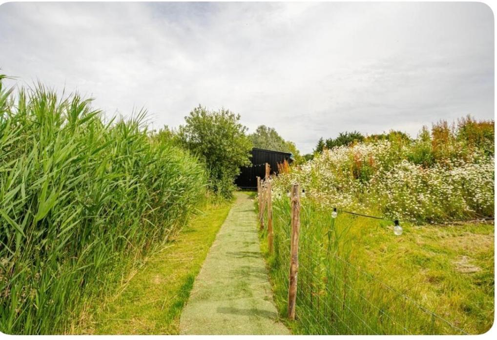 Reeds Retreat Vila Ashford  Exterior foto